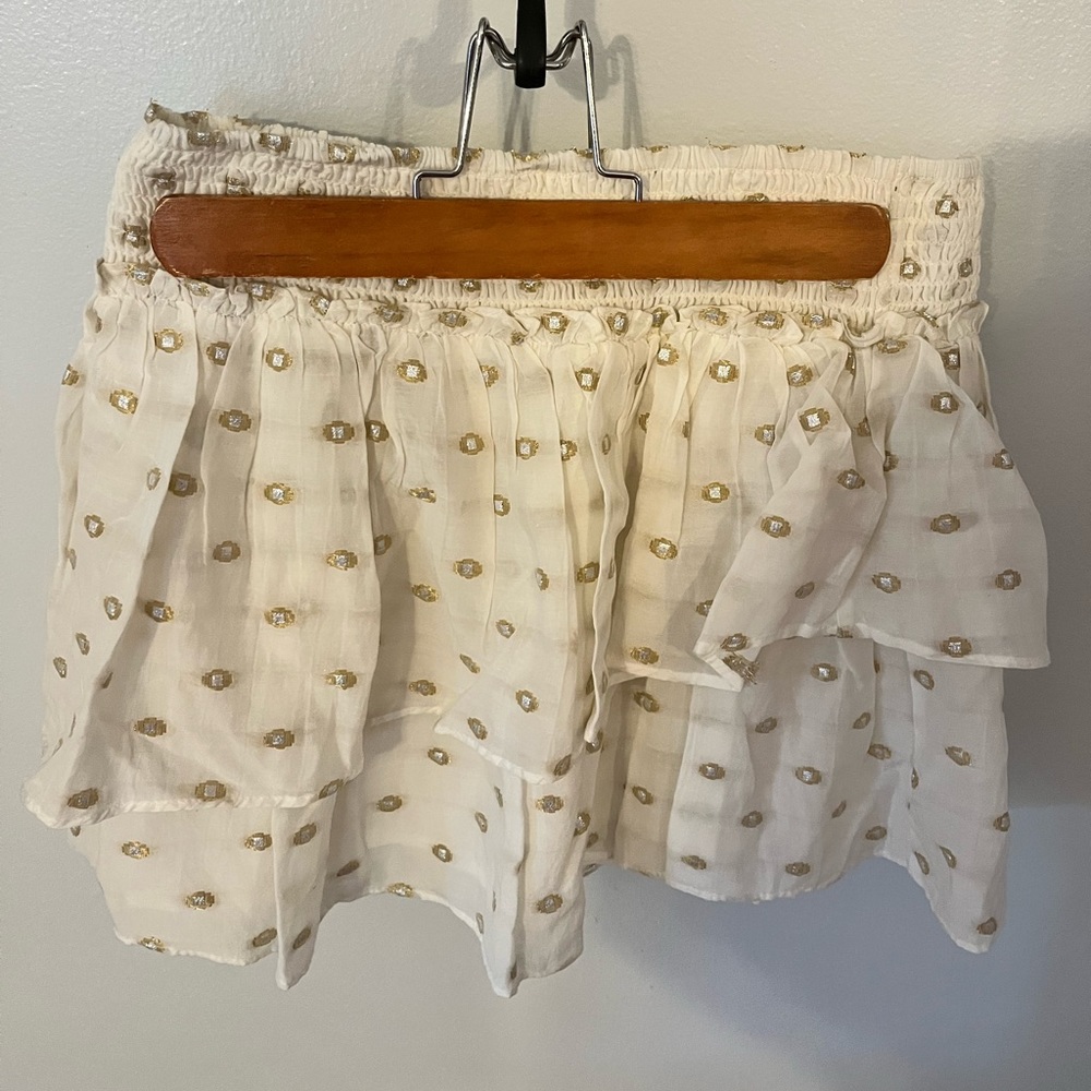 Zara embroidered skirt